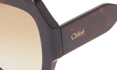 Chloé 56mm Rectangular Sunglasses In Brown