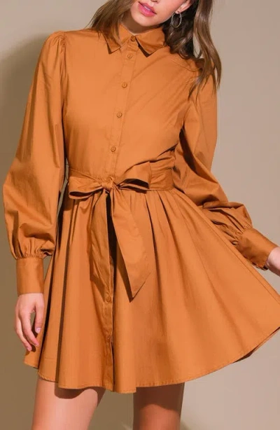 Flying Tomato Solid Mini Shirtdress In Brown