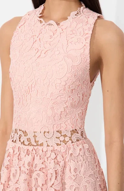 Alice And Olivia Alice + Olivia Dresses In Pink