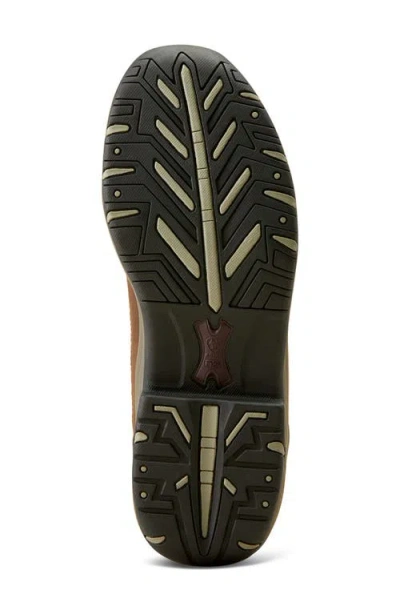 Ariat Women's Terrain Venttek 360 Hiking Boot In Brown/taupe In Brown