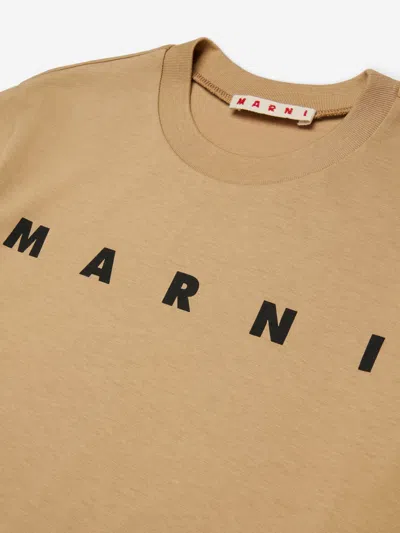 Marni Kids Logo T-shirt In Brown