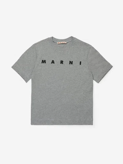 Marni Kids Logo T-shirt In Gray