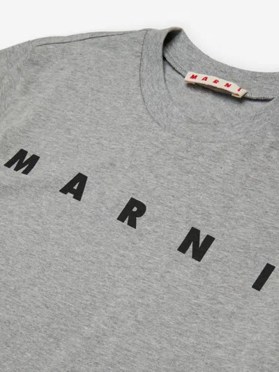Marni Kids Logo T-shirt In Gray