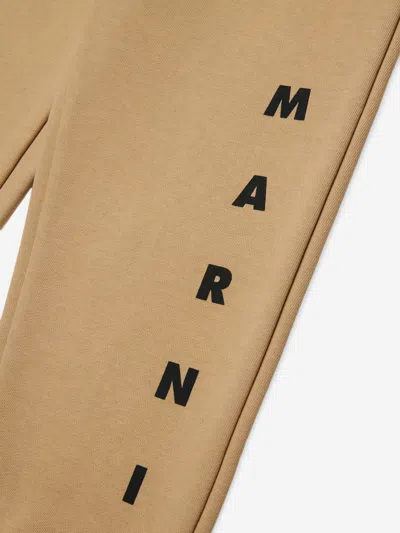 Marni Kids Logo Joggers In Brown