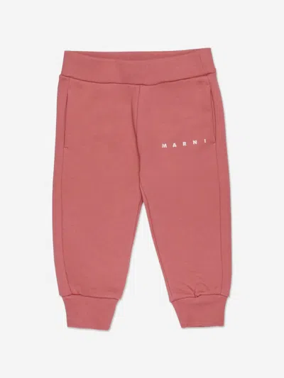Marni Baby Girls Logo Tracksuit In Pink