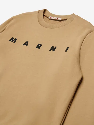Marni Kids Logo Sweatshirt In Brown