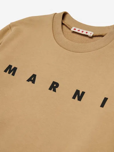 Marni Kids Logo Sweatshirt In Brown