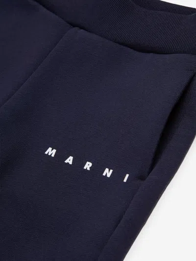 Marni Baby Logo Joggers In Blue