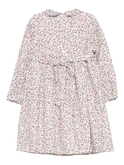 Siola Floral-print Dress In Multi