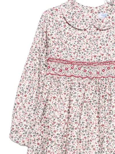 Siola Floral-print Dress In Multi