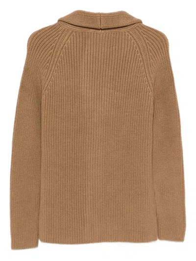 Tagliatore Button-up Cardigan In Brown