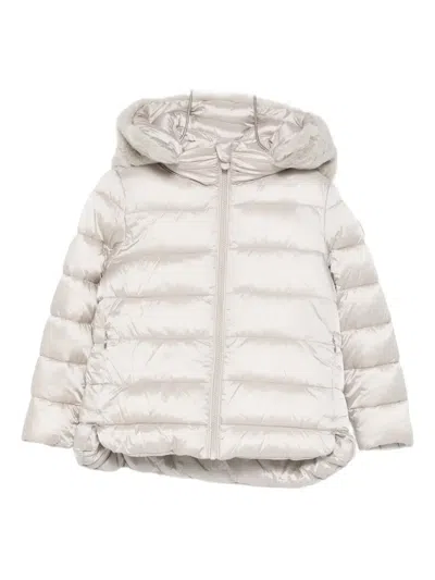 Save The Duck Hooded Padded Jacket In Neutral