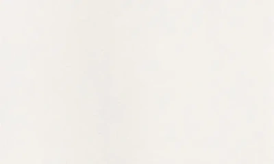 One Of These Days I Never Believed In White