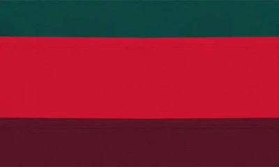 Natori Bliss Bare High Cut Brief, Pack Of 3 In Brown