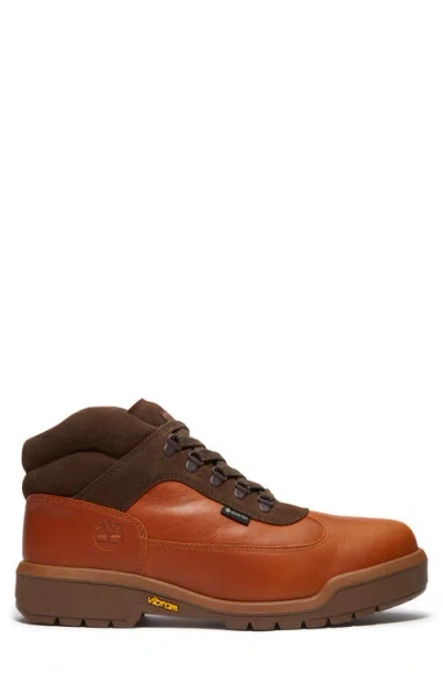 Timberland Field Gore-tex® Waterproof Mid Boot In Brown