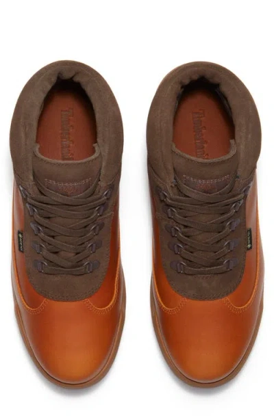 Timberland Field Gore-tex® Waterproof Mid Boot In Brown