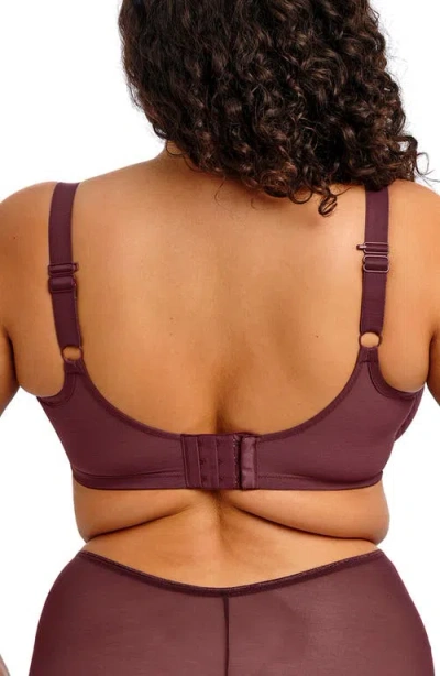 Elomi Matilda Full Figure Underwire Plunge Bra In Purple
