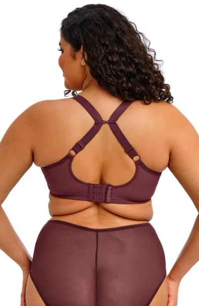 Elomi Matilda Full Figure Underwire Plunge Bra In Purple