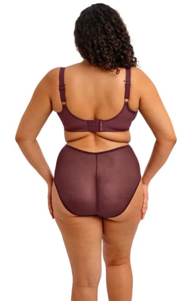 Elomi Matilda Full Figure Underwire Plunge Bra In Purple