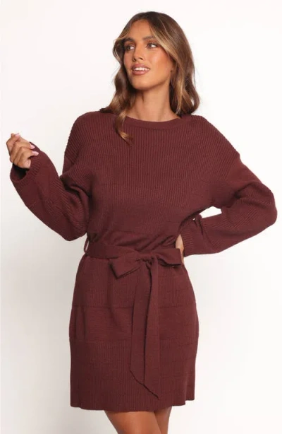 Petal And Pup Petal & Pup Lucca Long Sleeve Mini Sweater Dress In Brown