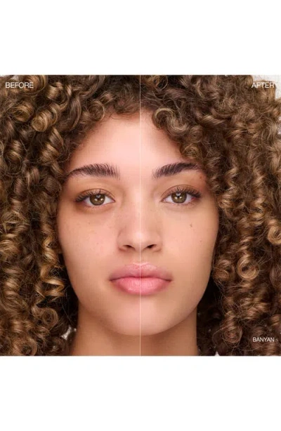 Ogee Complexion Perfecting Concealer In Brown