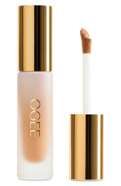Ogee Complexion Perfecting Concealer In Brown