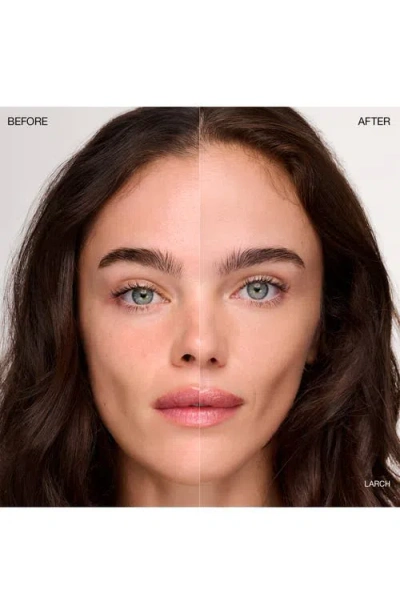 Ogee Complexion Perfecting Concealer In Brown