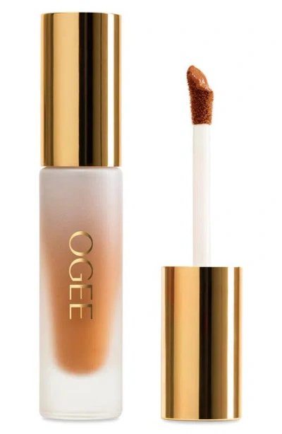 Ogee Complexion Perfecting Concealer In Green