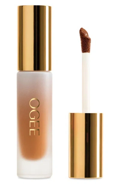 Ogee Complexion Perfecting Concealer In Brown