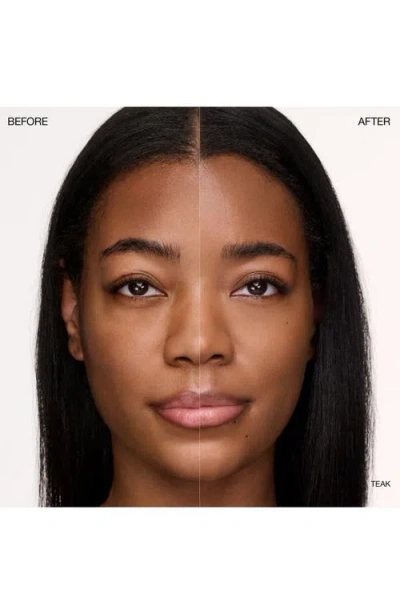 Ogee Complexion Perfecting Concealer In Brown