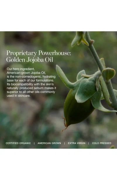 Ogee Complexion Perfecting Concealer In Neutral