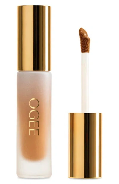 Ogee Complexion Perfecting Concealer In Brown