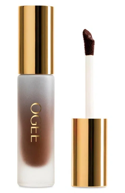 Ogee Complexion Perfecting Concealer In Brown