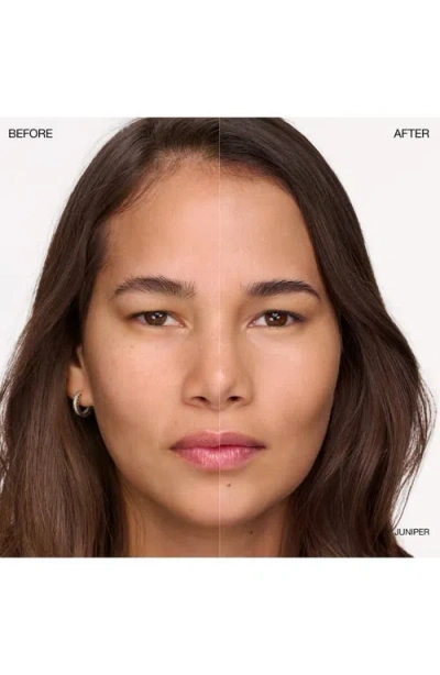 Ogee Complexion Perfecting Concealer In Orange