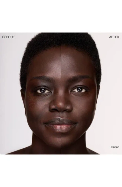 Ogee Complexion Perfecting Concealer In Brown