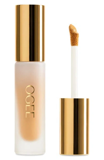Ogee Complexion Perfecting Concealer In Brown