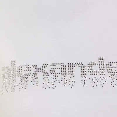 Alexander Wang Crystal Hotfix Logo Cotton Baby T-shirt Clothing In White