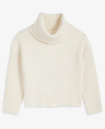 Inc International Concepts Women's Chunky Turtleneck Sweater, Macy's Exclusive In Brown