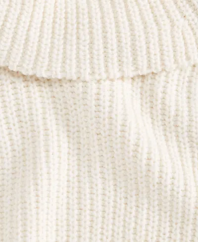 Inc International Concepts Women's Chunky Turtleneck Sweater, Macy's Exclusive In Brown
