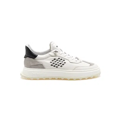 Bepositive Cuprace Wing - Leather + Suede Sneakers In Animal Print