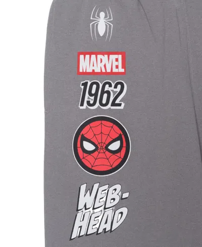 Spider-man Boys 5-20 Web-head Printed Pull-on Pants In Gray