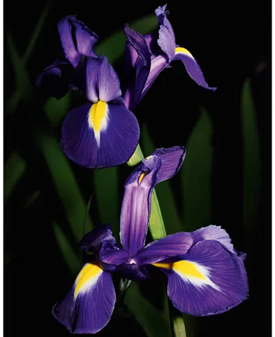 Saint Laurent Womens Le Vestiaire Des Parfums Trench Eau De Parfum 125ml In Transparent