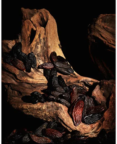 Saint Laurent Yves  Caban In Brown