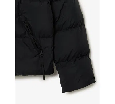 Lacoste Usa Women's Long Sleeves Puffer Jacket In Black