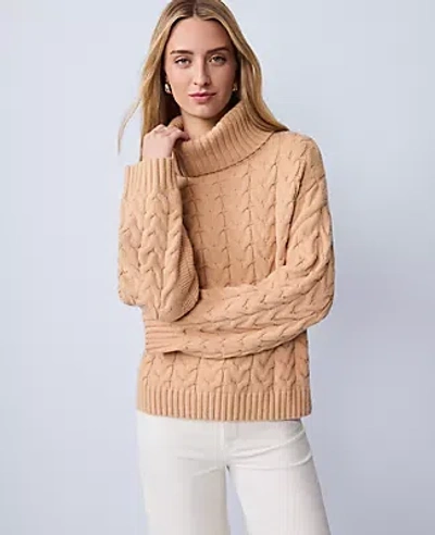Ann Taylor Weekend Collection Cable Turtleneck Sweater In Brown