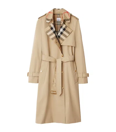 Burberry Plaid-collar Gabardine Trench Coat In Neutral