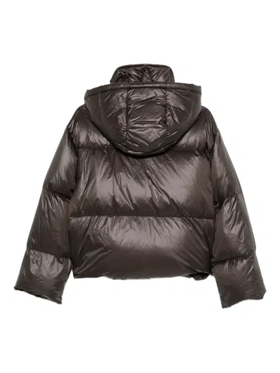 Antonelli Cropped Brown Puffer Jacket With High Collar In Black