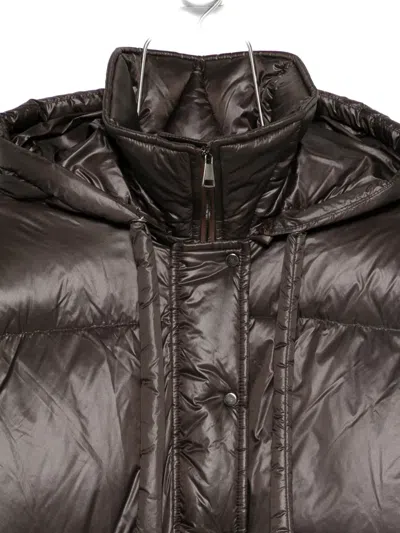 Antonelli Cropped Brown Puffer Jacket With High Collar In Black