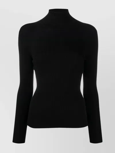 P.a.r.o.s.h Fitted Turtleneck Knitwear Long Sleeves In Black