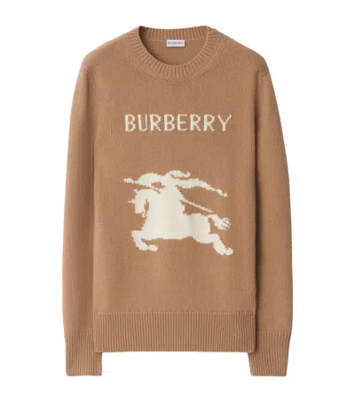 Burberry Women Beige Crewneck Sweater With Maxi Ekd Embroidery On The Front And Logo Lettering In Wo In Brown